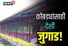 Sangli News: कडाक्याच्या उन्हात कोंबड्यांचा जीव गुदमरला, देशी जुगाड करून वाचवला जीव! Video