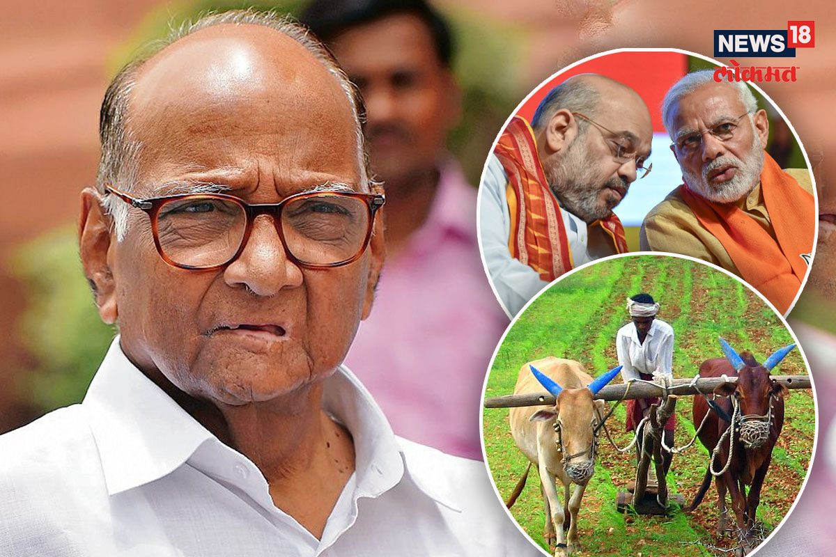 शरद पवारांचे कर्नाटकात आवाहन