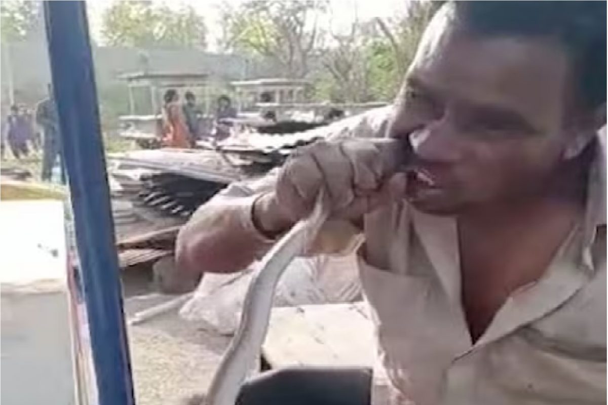 व्यक्तीने चावून खाल्ला साप.