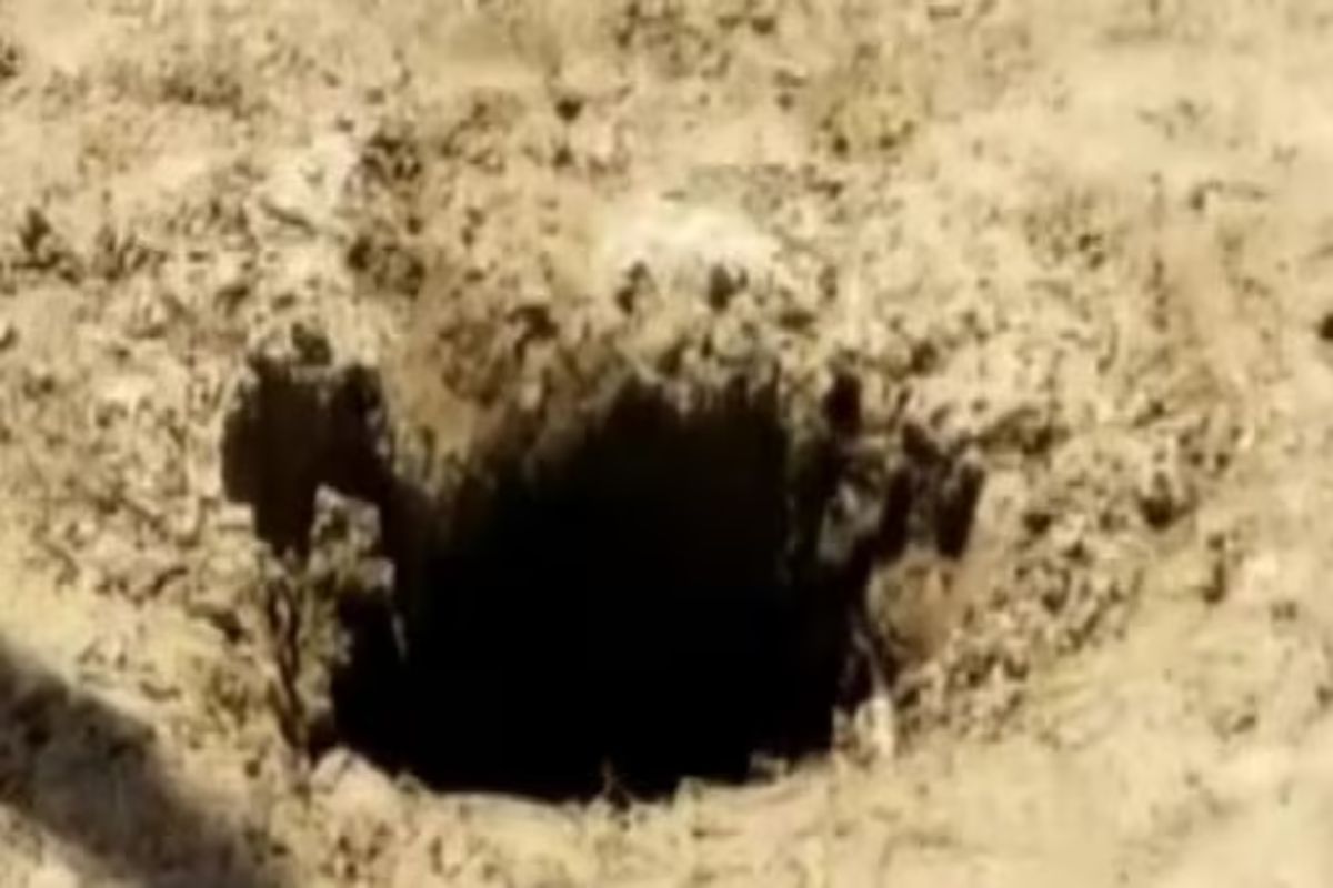 प्रतिकात्मक फोटो