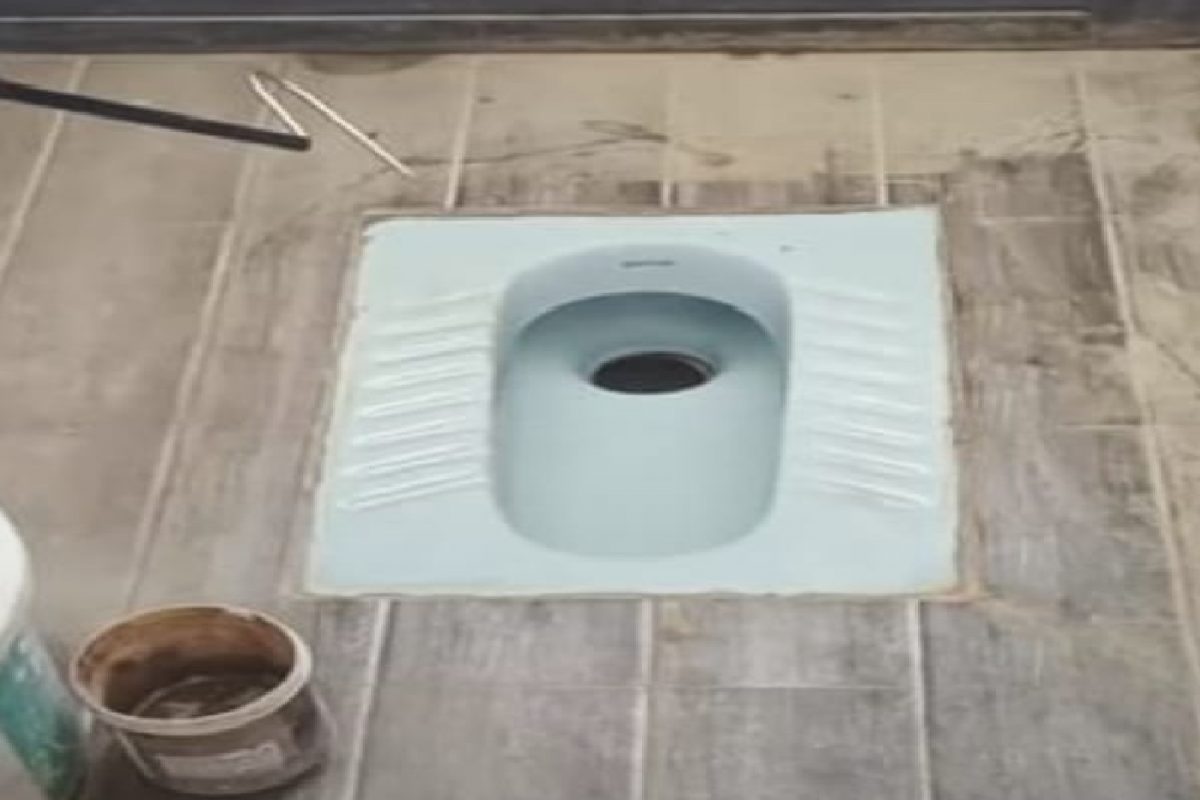 टॉयलेटचा धक्कादायक व्हिडीओ