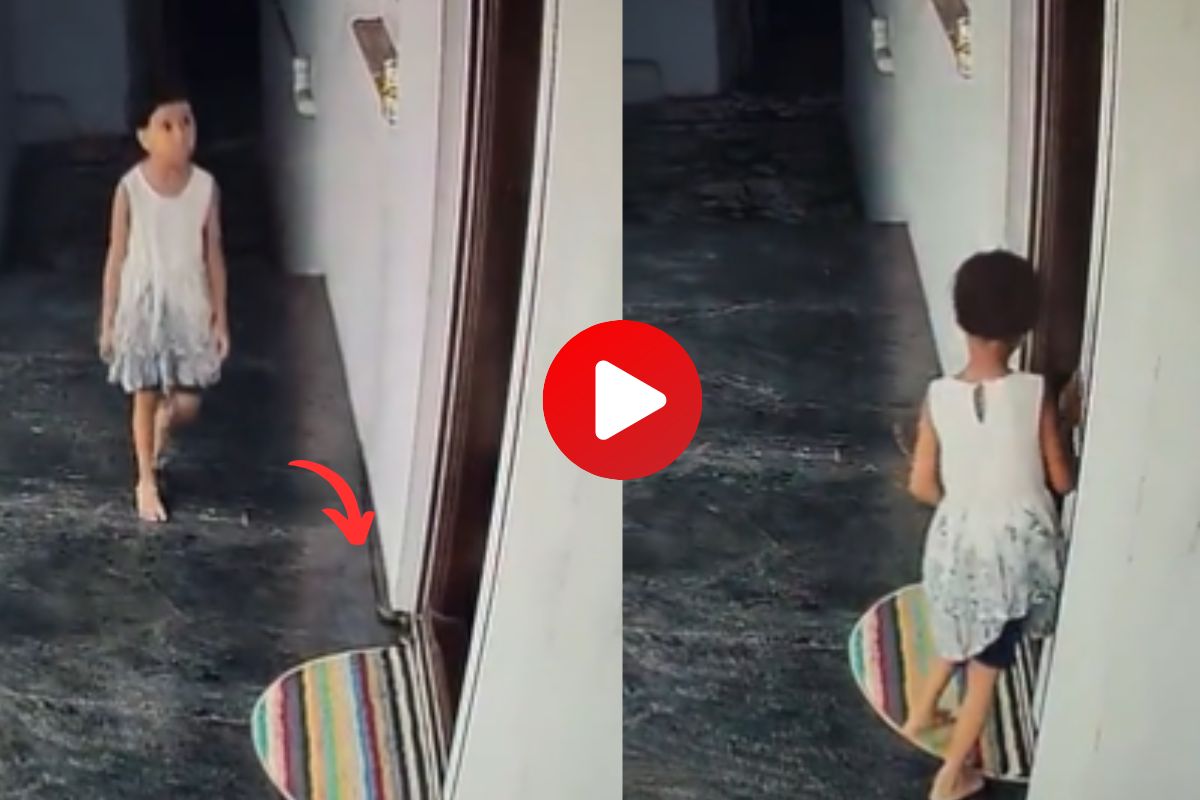 थरारक व्हिडीओ