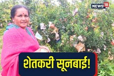 अशक्य काहीच नाही! सासू आणि सूनेनं एकत्र येऊन खडकाळ जमिनीतून कमावले 30 लाख! Video