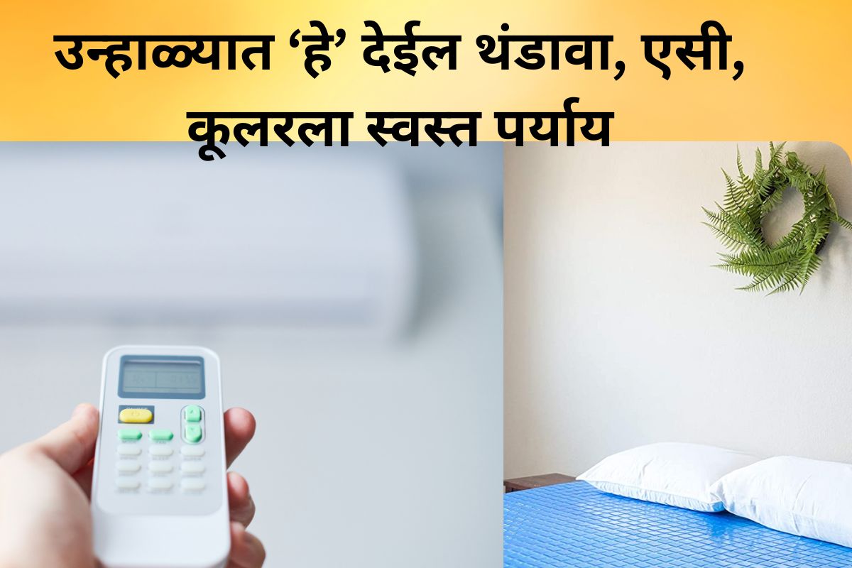 उन्हाळ्यात ‘हे’ देईल थंडावा, एसी, कूलरला स्वस्त पर्याय