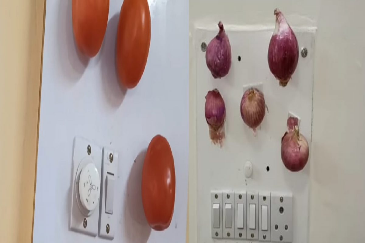 फोटो सौजन्य - यूट्युब व्हिडीओ स्क्रिनशॉट