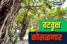 बीडमध्ये चाललंय काय? 100 वर्ष जुन्या झाडांवर चालणार कुऱ्हाड! GROUND REPORT