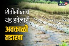 Nagpur News: शेतीसोबतच 'या' व्यवसायालाही अवकाळी तडाखा, विदर्भात ग्राहकच मिळेना, Video