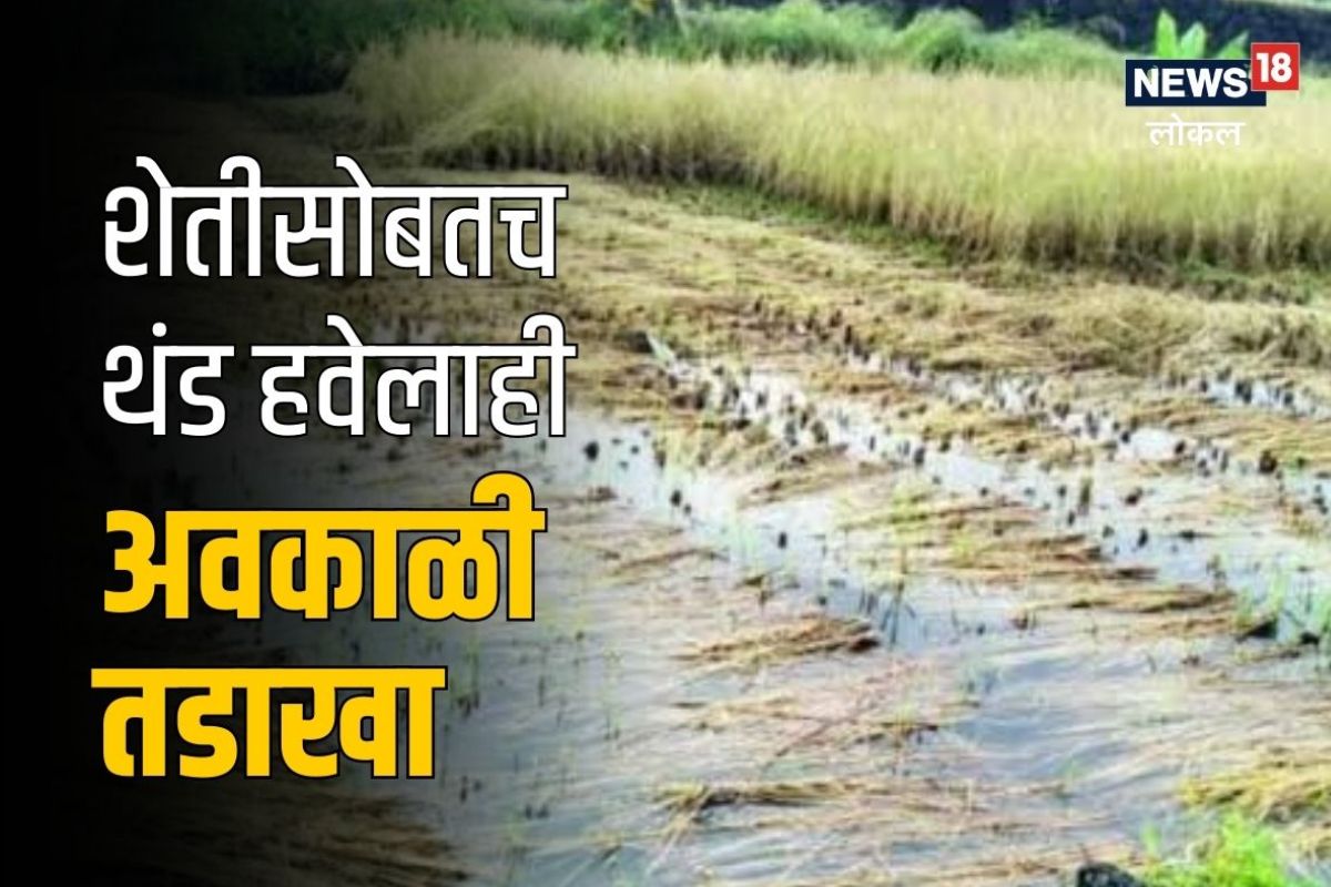 Nagpur News: शेतीसोबतच 'या' व्यवसायालाही अवकाळी तडाखा, विदर्भात ग्राहकच मिळेना, Video