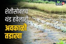 शेतीसोबतच 'या' व्यवसायालाही अवकाळी तडाखा, विदर्भात ग्राहकच मिळेना, Video