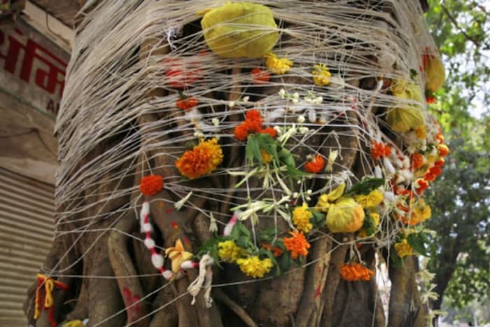एक फेरा आरोग्यासाठी, एक फेरा प्रेमासाठी, एक फेरा यशासाठी एक फेरा दीर्घायुष्यासाठी, एक फेरा तुझ्या माझ्या अतूट सुंदर नात्यासाठी वटपौर्णिमेच्या हार्दिक शुभेच्छा!