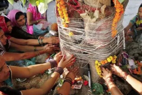 वट सावित्री पौर्णिमा व्रताचे महत्त्व 
