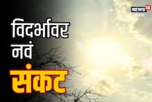 Weather Forecast: अवकाळीनंतर विदर्भावर आता नवं संकट, हवामान विभागानं दिला इशारा, Video