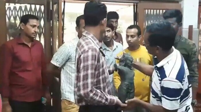 अंदाजे 11व्या ते 12व्या शतकातील ही मूर्ती असल्याचे म्हणणे आहे. या मूर्तीचे वजन 10 ते 12 किलो आहे.