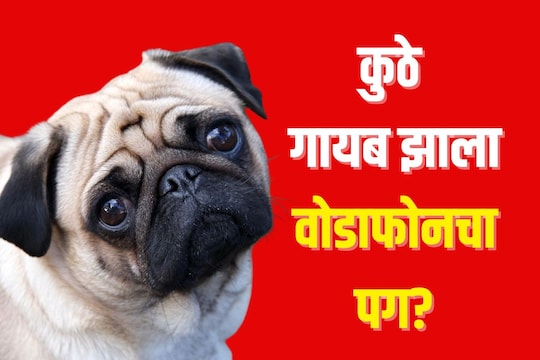 कुठे गायब झाला वोडाफोनचा पग?