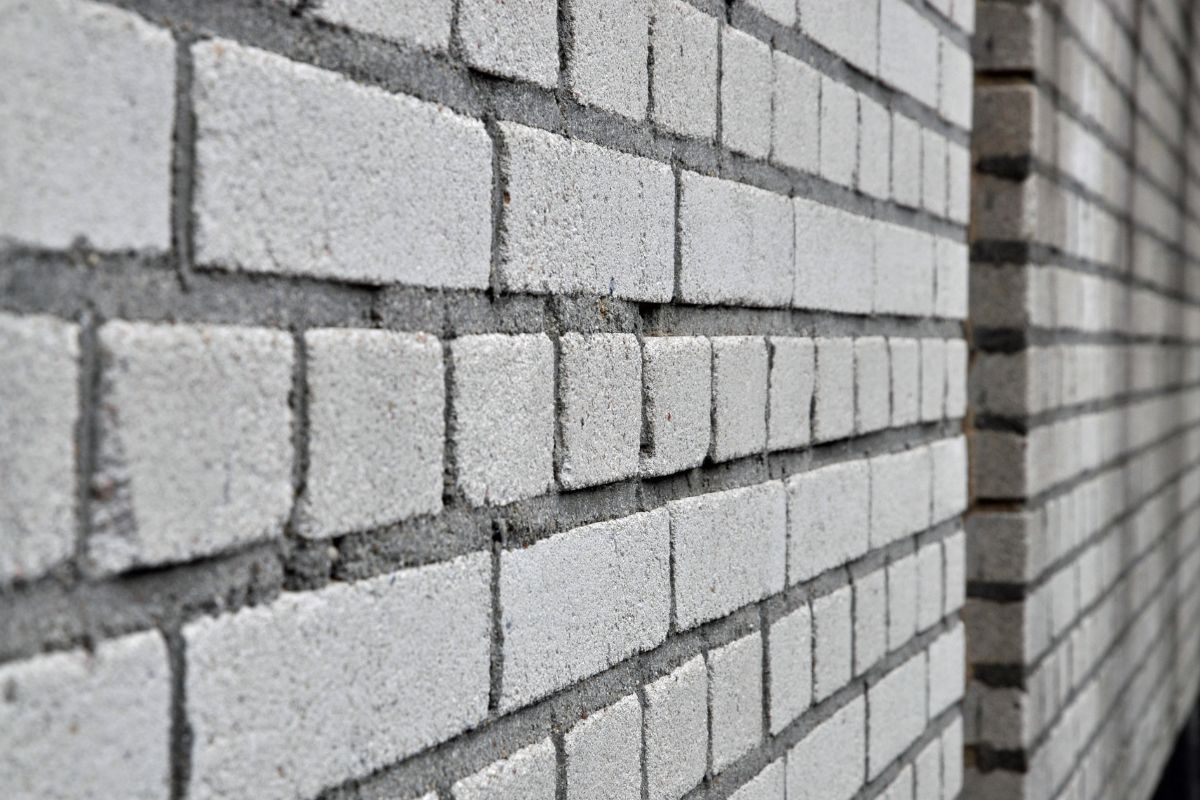 प्रतिकात्मक फोटो