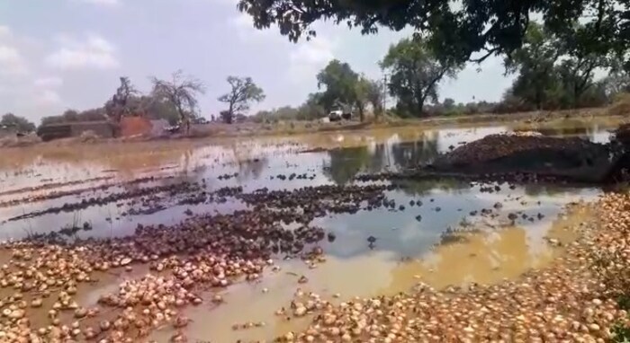 पावसाळ्यात कांद्याचं नुकसान झालं म्हणून उन्हाळी कांदा लावला. मात्र तिथेही पदरात नुकसानच आलं. अवकाळी पावसानं काढणीला आलेला कांदाही जमीनदोस्त केला. 