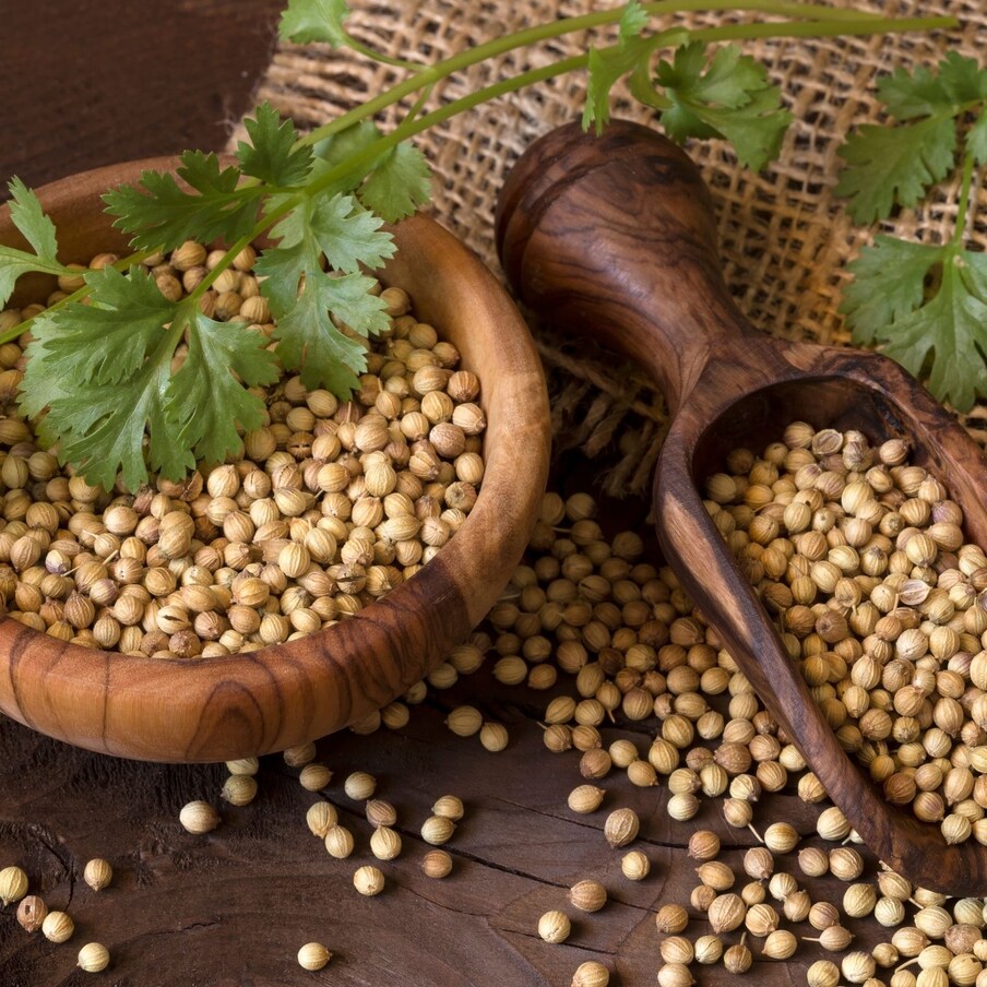 आर्थिक समस्येतून सुटकेसाठी मसाल्यांचा उपाय, सुख-समृद्धीसाठी धणे आहेत फायदेशीर