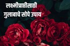 लक्ष्मीप्राप्तीसाठी करा गुलाबाचे हे सोपे उपाय, घरात नांदेल सुख-समृद्धी