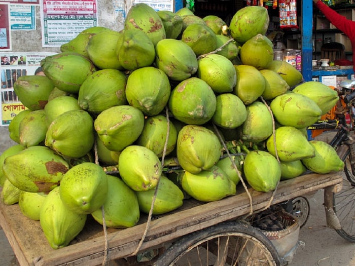 उन्हाळ्यात लोक मोठ्या प्रमाणात नारळ पाणी पितात. हे आरोग्यदायी आहे तसंच त्यात पौष्टिक मूल्यही आहे. आता तर डॉक्टरही सर्वांना नारळपाणी पिण्याचा सल्ला नक्कीच देतात.