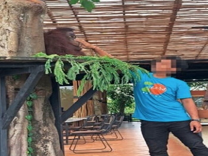 सुझानने सांगितले की, बाली टुरिस्ट पार्कमधील बहुतेक प्राणी अतिशय वाईट स्थितीत ठेवण्यात आले आहेत. अनेकांच्या मूलभूत गरजाही पूर्ण होत नाहीत. 