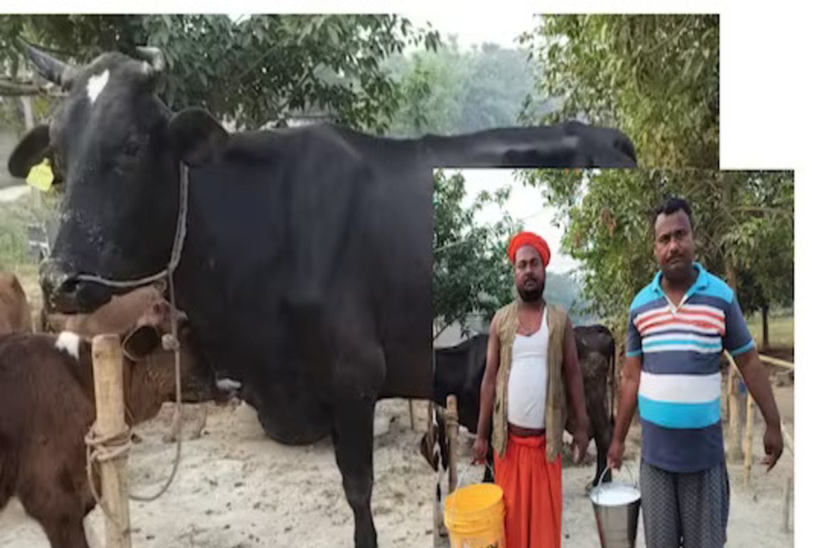 शेतकरी विजय