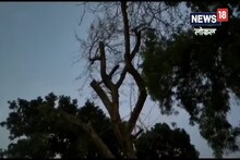 घरातील झाड तोडून अडकला तरुण, कॉलनीतील लोकांची थेट पोलीस ठाण्यात धाव