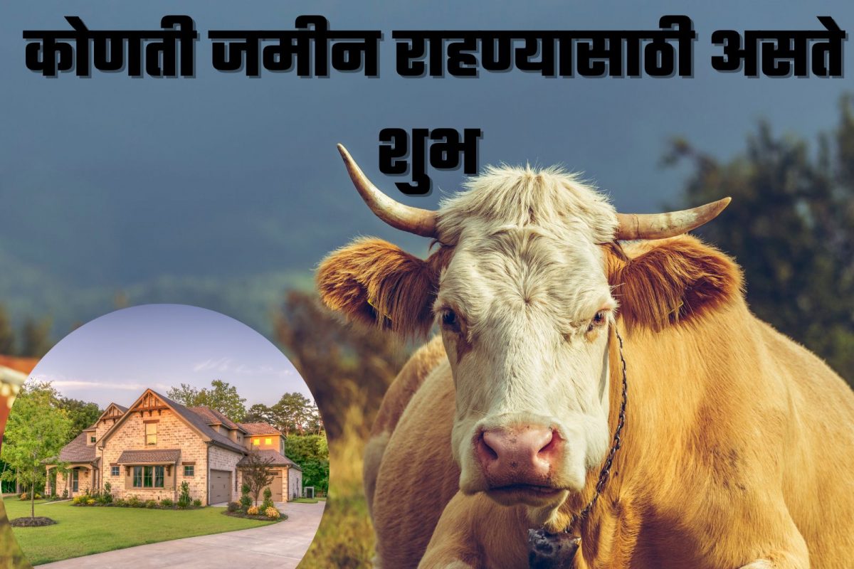 प्राण्यांकडूनही शिकता येतील वास्तूचे हे नियम, कोणती जमीन राहण्यासाठी असते शुभ