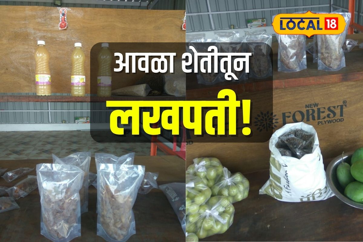 Ahmednagar News : शेतकऱ्याचा आवळा शेतीचा यशस्वी प्रयोग, घरीच बनवली आवळा कँडी, अमृत रस, लाखोंची कमाई Video