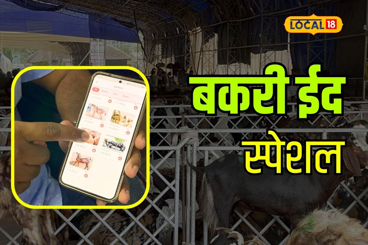 Bakri Eid 2023: मोबाईलवर बकरा सिलेक्ट करा आणि झालं काम, बकरी ईदला घरबसल्या द्या कुर्बानी, कसं? पाहा Video