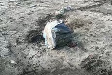 Crime News : बँगेत आढळा बिना मुंडक्याच्या महिलेचा मृतदेह; भाईंदरमध्ये खळबळ