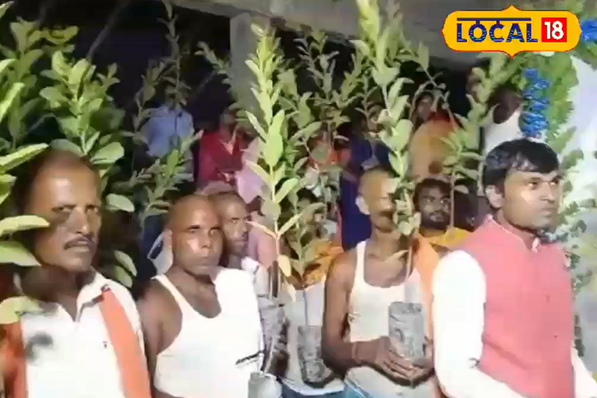 लोकांना काही वर्षांनी गोड फळं खायला मिळतील, सावली मिळेल, शुद्ध हवा मिळेल.