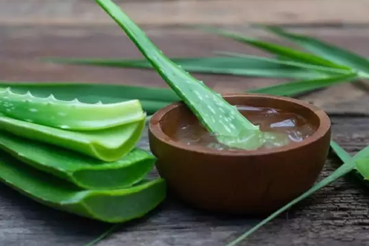 बिझनेस आयडिया