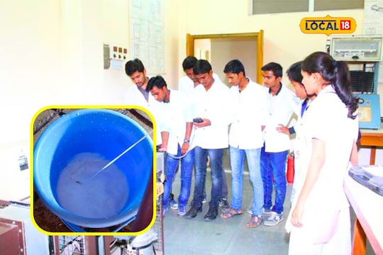 Career in Dairy : डेअरी उद्योगात करिअर करायचं? 12 वी नंतर घ्या इथं प्रवेश