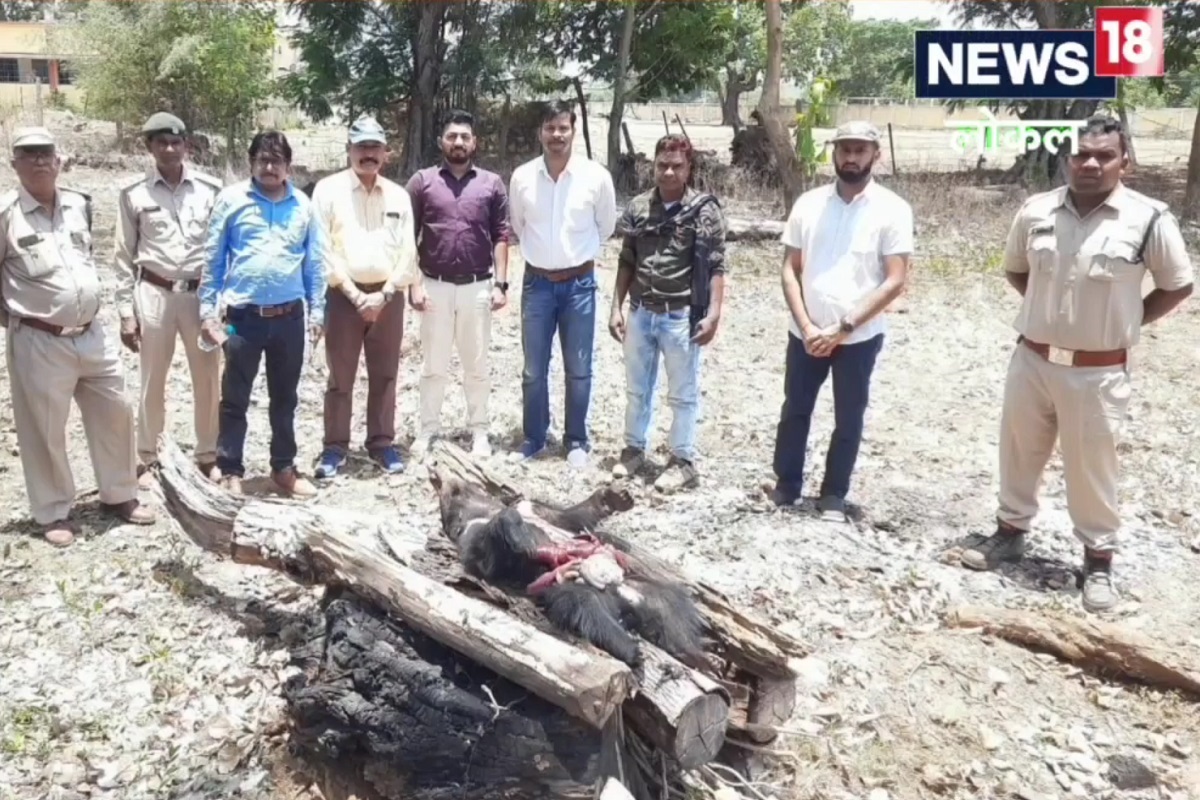 वनविभागाच्या पथकाने या मृतदेहाचा पंचनामा करून शवविच्छेदनानंतर अंत्यसंस्कार केले.