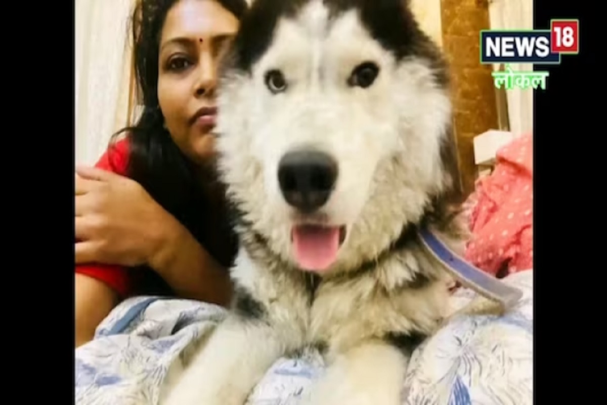 कुत्रा हरवल्याचं कळताच आयुक्तांच्या घरावर जणू दुःखाचा डोंगर कोसळला.