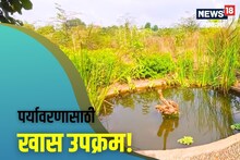 Dombivli News : पर्यावरणासाठी सारं काही, पक्षी पुन्हा हक्काने आले; डोंबिवलीत केडीएमसीचा खास उपक्रम, SPECIAL REPORT