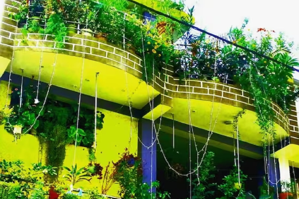 त्यांचं घर म्हणजे एक हिरवीगार बागच दिसते.