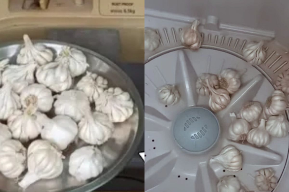 वॉशिंगमध्ये सोला लसूण (फोटो - युट्यूब व्हिडीओ ग्रॅब)