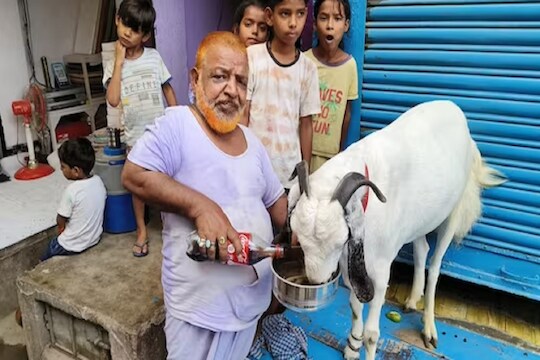 लॉकडाऊनला 1 लाखाची मागणी, परंतु मालकाला त्याला विकायचं नाही.