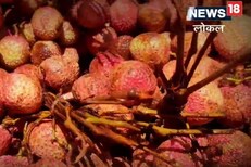 एकच महिना मिळतं 'हे' फळ, फायदे ऐकून म्हणाल खायलाच हवं!