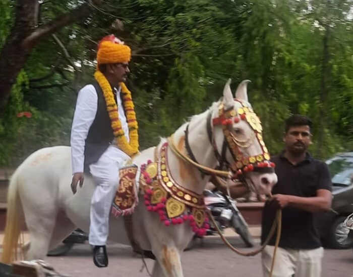 मध्य प्रदेशच्या इंदौरमध्ये देवी अहिल्या विद्यापीठ परिसरात अचानक बँड, बाजा, पंजाबी ढोल आणि घोडा घेऊन नवरदेव दाखल झाला तेव्हा सर्वजण अगदी चकीत झाले. विद्यापीठात लग्नाची वरात? असा प्रश्न सर्वांना पडला. त्यातच 60 वर्षांचा नवरा मुलगा दिसला. मग काय चर्चेपे चर्चा सुरू झाली ना राव. मात्र हे लग्न नसून काहीतरी वेगळंच आहे...असं चर्चे-चर्चेतून सर्वांना कळलं. 