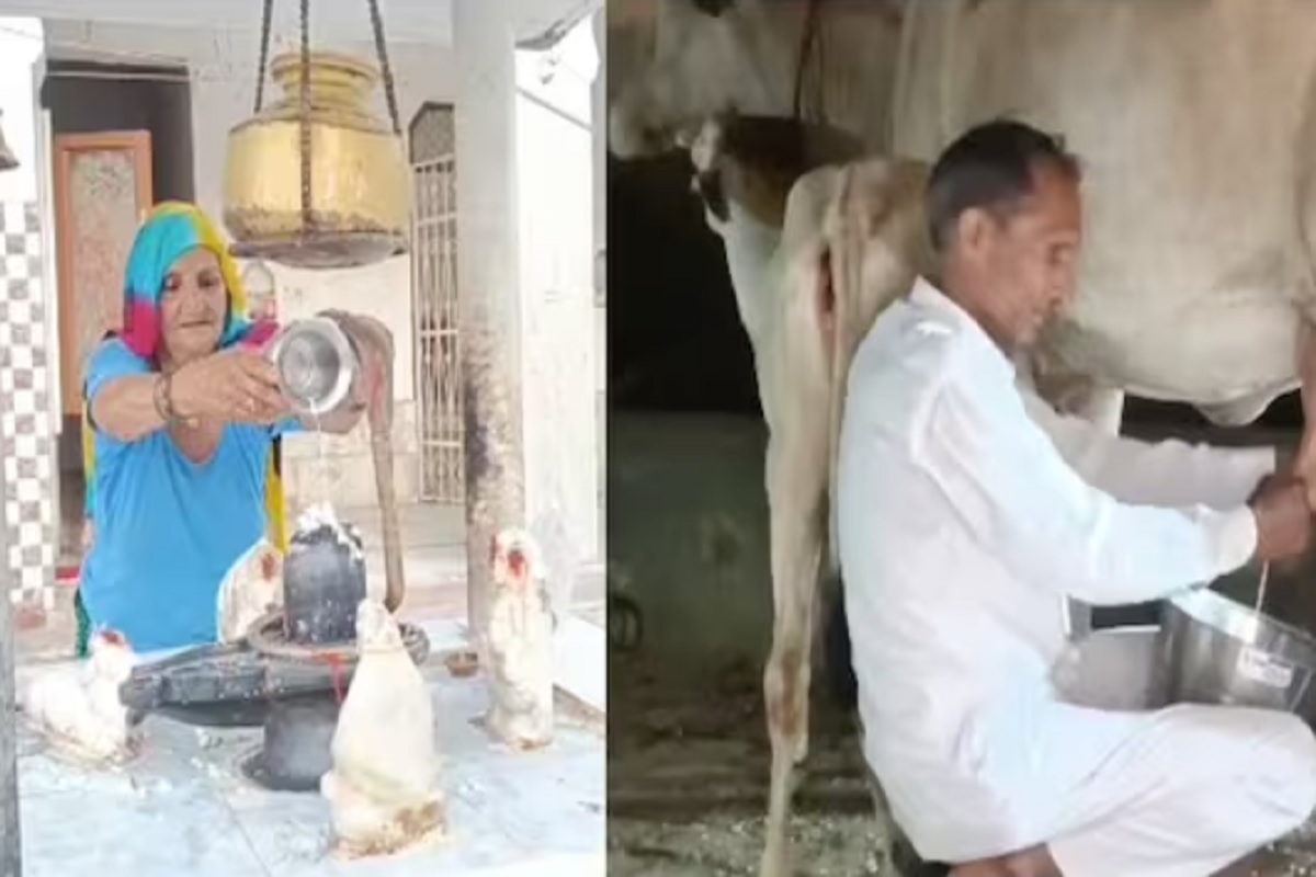 दूध किंवा गायी-म्हशी विकायचा विचार जरी केला, तरी त्यांचं प्रचंड नुकसान होतं.