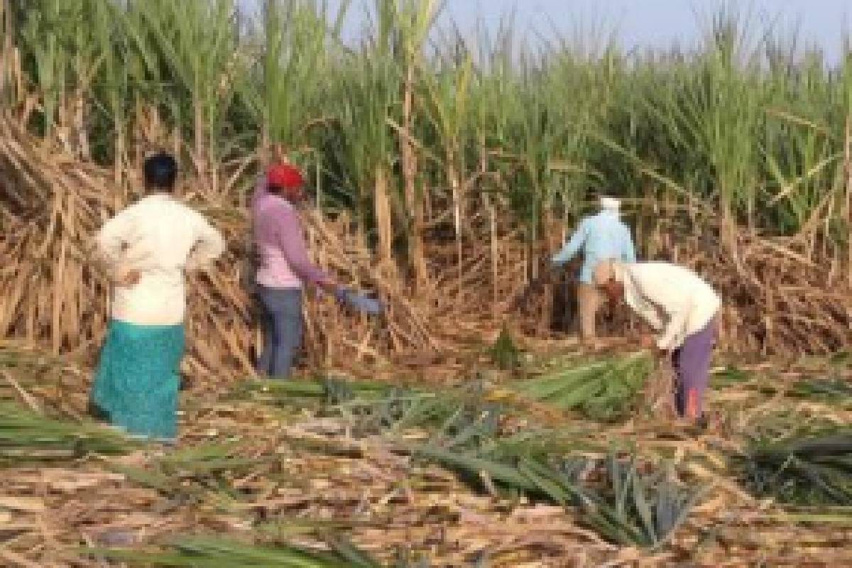 प्रातिनिधिक छायाचित्र