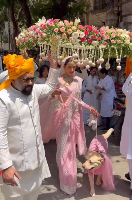  सोनालीच्या कुत्रीनं देखील सोनालीबरोबर पिंक कलरचं ट्विनिंग केलं होतं. कुत्री देखीन सोनालीची एंट्री एन्जॉय करताना दिसली.