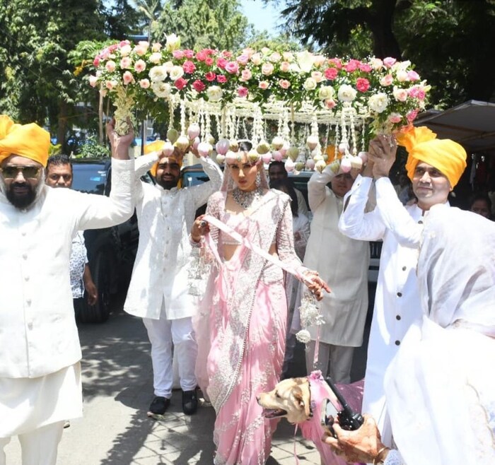  आशिषच्या हातात हात देण्याआधी सोनालीने तिच्या लाडक्या कुत्र्याबरोबर मंडपात दमदार एंट्री घेतली.