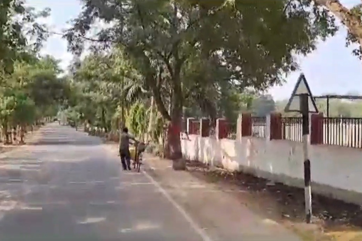 ...मग त्या क्षणापासून त्यांनी निश्चय केला की, या रस्त्याच्या कडेला आपण झाडं लावायची.