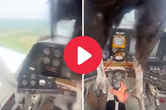 पक्ष्याची विमानाला धडक