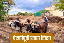 Beed News: खरीपाची पेरणी करताय? पाहा शेतकऱ्यांसाठी फायद्याची बातमी Video