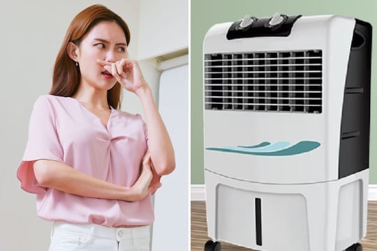 कूलरमधून येणारा वास दूर करण्याचे उपाय
