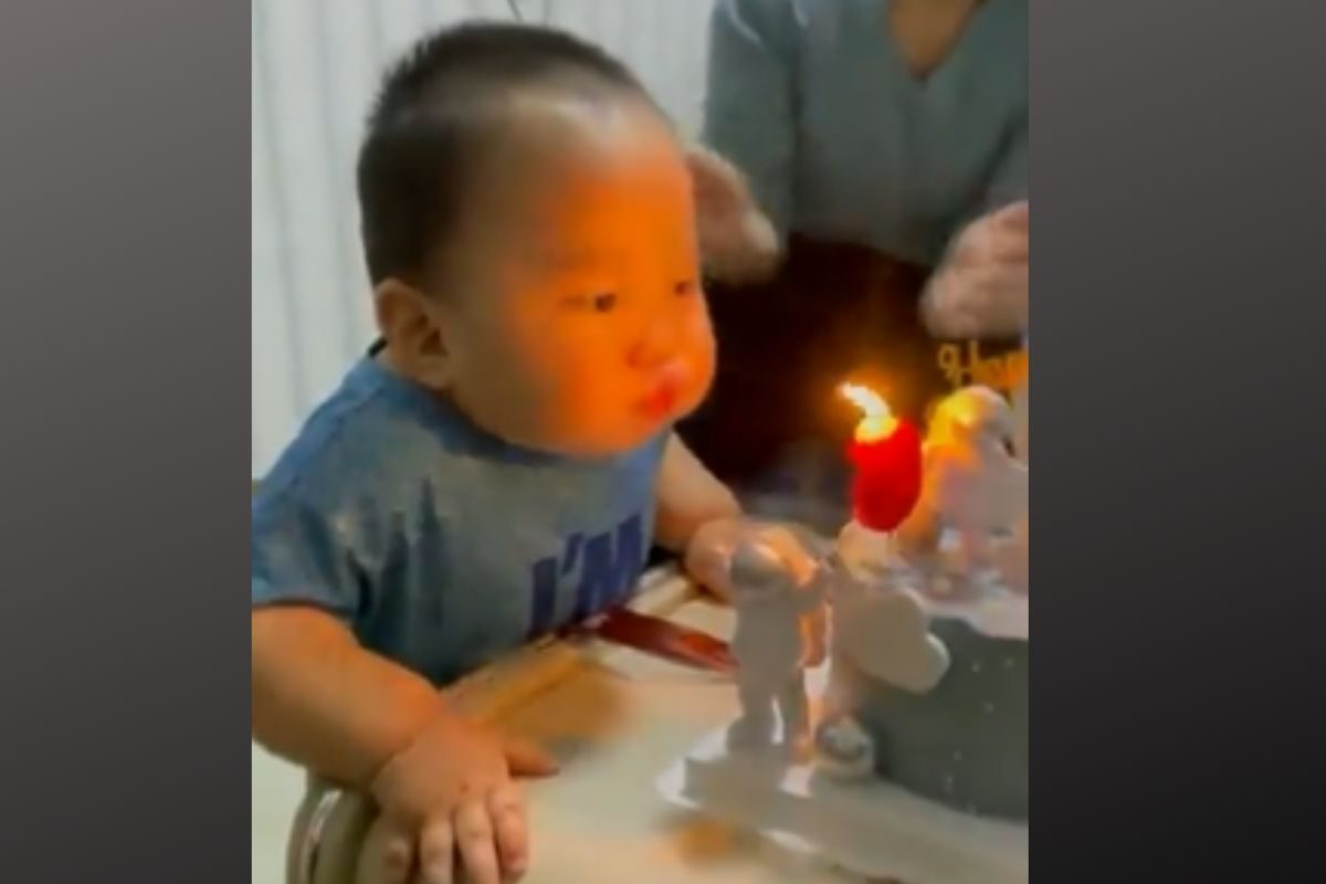 चिमुकल्याचा क्यूट व्हिडीओ